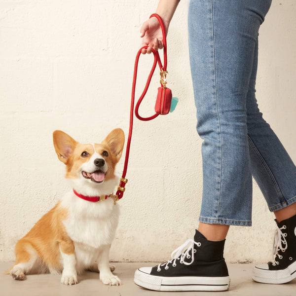 Ruby Valentine's Day Waxed Canvas Poop Bag Dispenser: Red