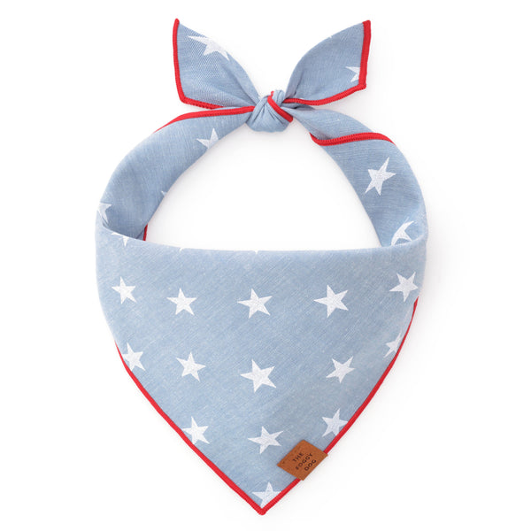 Liberty Summer Dog Bandana: Large