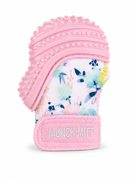 Munch Mitt: Dino Roar