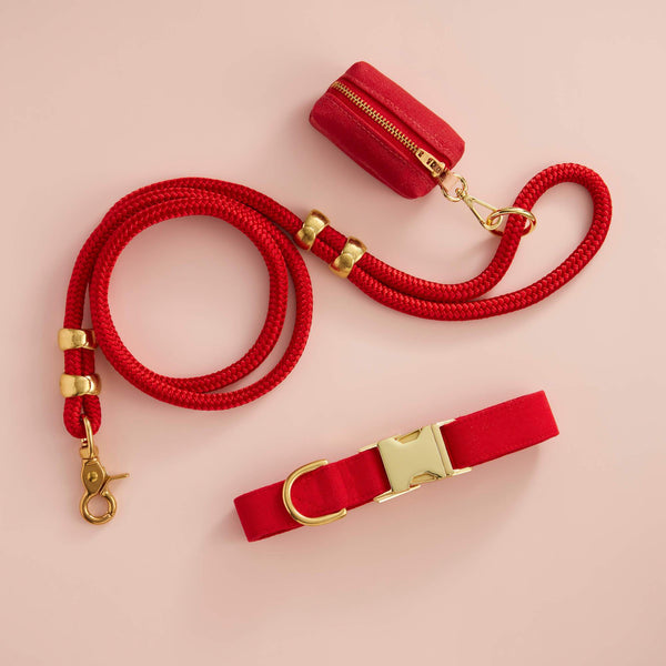 Ruby Valentine's Day Waxed Canvas Poop Bag Dispenser: Red