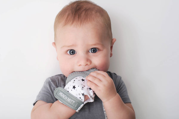 Munch Mitt: NEW - Grey Woodland