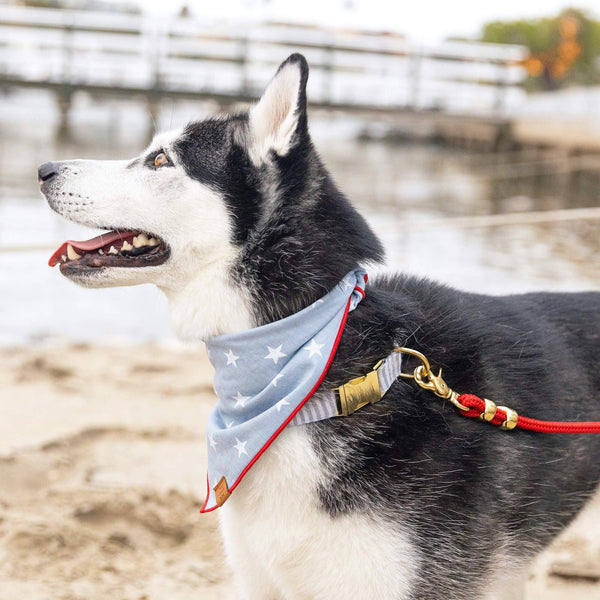 Liberty Summer Dog Bandana: Large