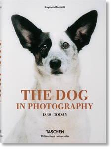 Dog in Photography 1839-Today