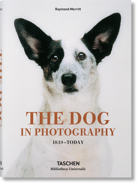 Dog in Photography 1839-Today