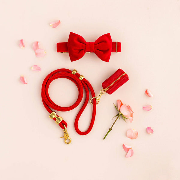 Ruby Valentine's Day Waxed Canvas Poop Bag Dispenser: Red