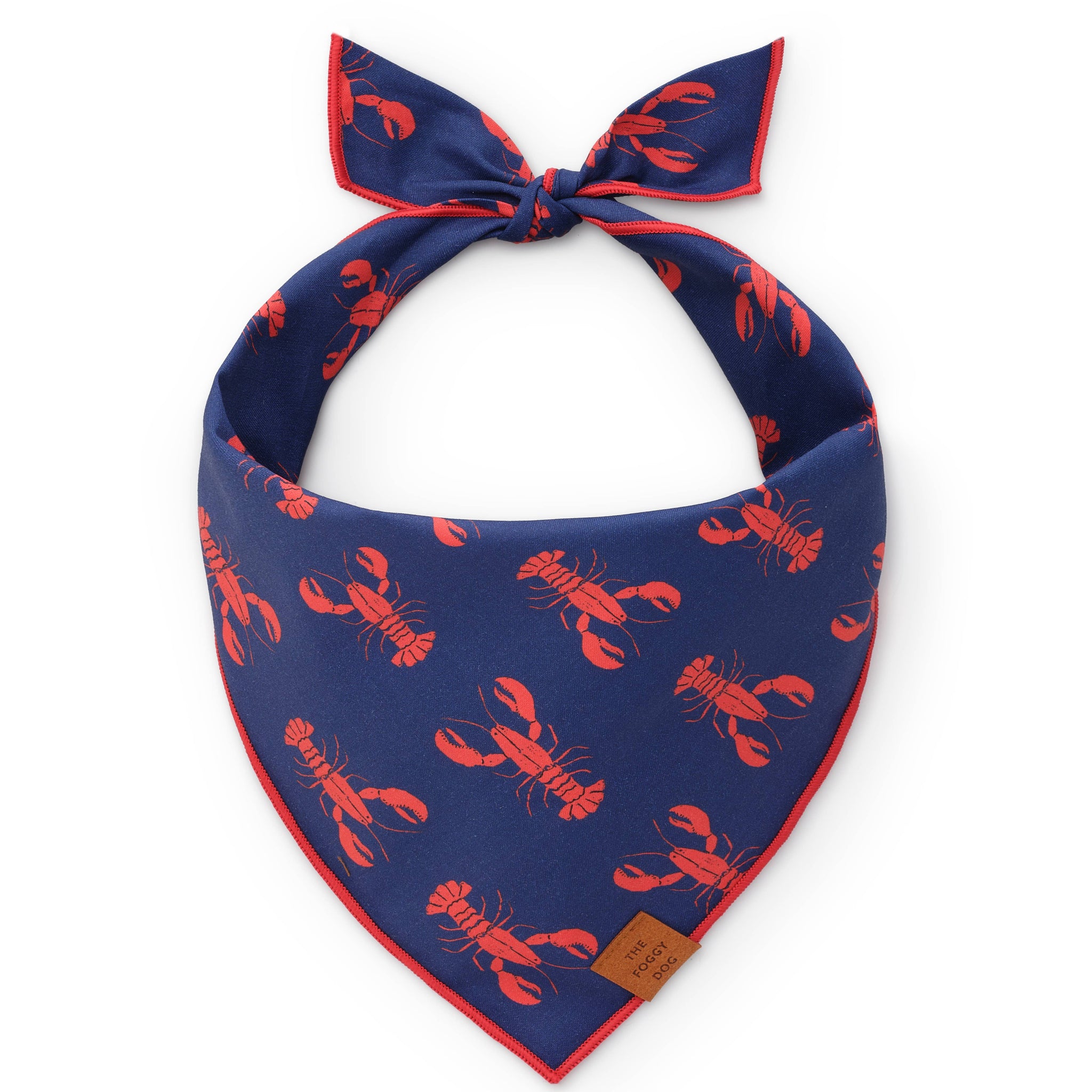 Catch of the Day Summer Dog Bandana: Small