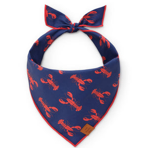 Catch of the Day Summer Dog Bandana: Small