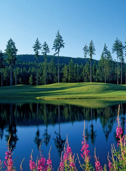 150 Golf Courses