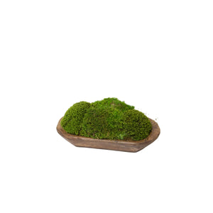 Wood Tray with Mood Moss